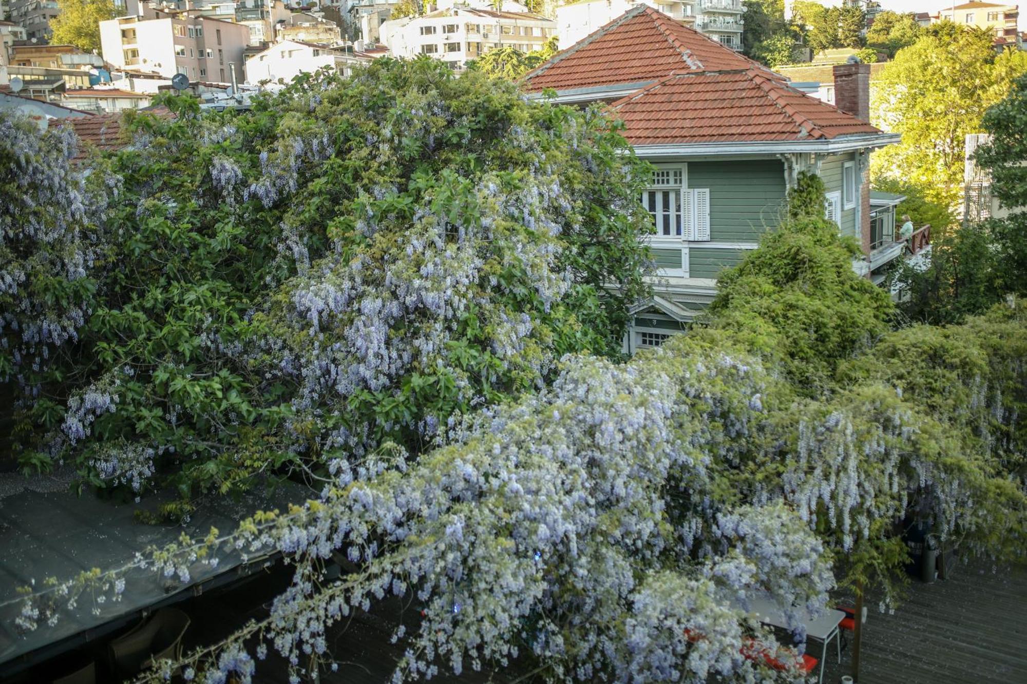 Loop Hotel Bosphorus Provincia di Istanbul Esterno foto